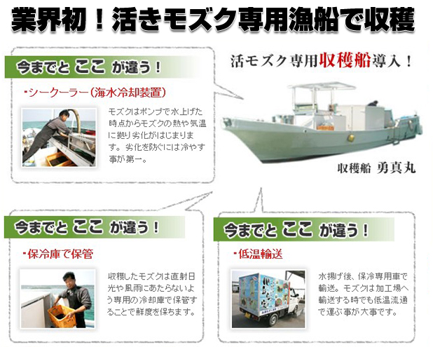 業界初！活きもずく専用漁船で収穫！