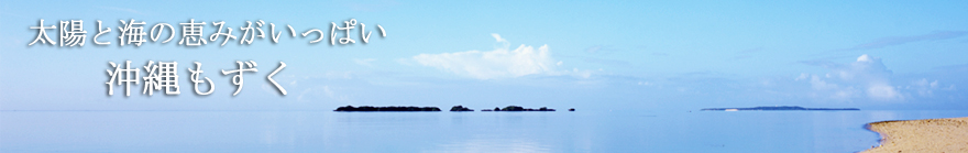 太陽と海の恵みがいっぱい！イトサンの沖縄もずく