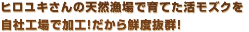 天然漁場栽培で生まれて、自社工場で加工！だから鮮度抜群！新鮮イキイキ！