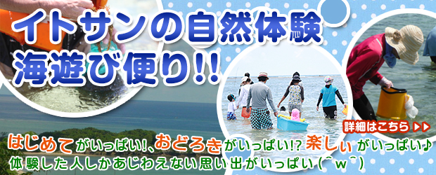 海遊び、モズク収穫体験ツアー