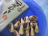 イトサン株式会社商品情報 - 沖縄産 天然ティラジャー(まがきがい)
