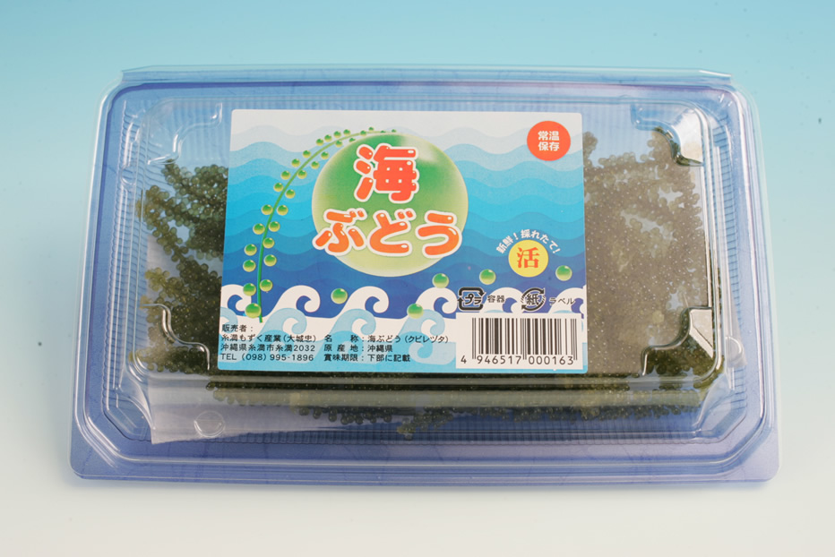 イトサン株式会社商品情報 - 海ぶどう(生)80g【常温発送】